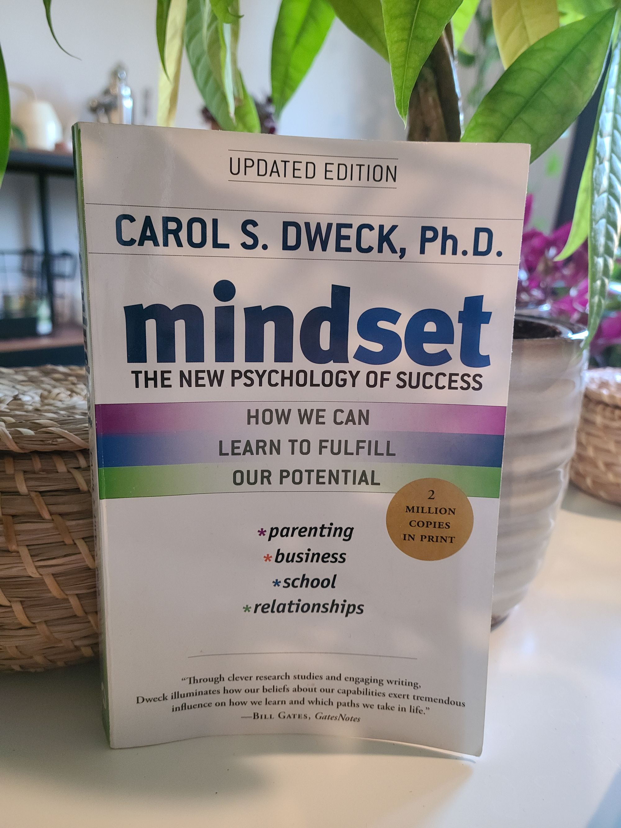 Fixed and Growth Mindsets (What I Learned from Carol Dweck's Book)